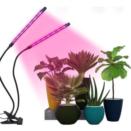 Профессиональное освещение Gangzhuwan China At AliExpress