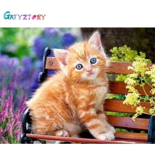 GATYZTORY DIY Pictures By Number Animal Kits Painting By Numbers House Cat Drawing On Canvas Hand Painted Paintings Home Decor G