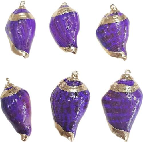 5pcs Natural Conch Shell Colorful Charm Women Jewelry Making 23*40mm Gilt edge Small Pendant for DIY Necklace Choker Accessories
