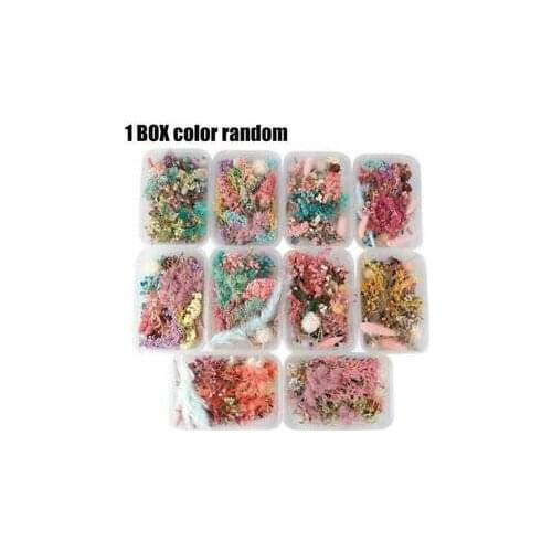 1 Box Real Dried Flower Dry Plants For Aromatherapy Candle Epoxy Resin Pendant Necklace Jewelry Making Craft Diy Accessories