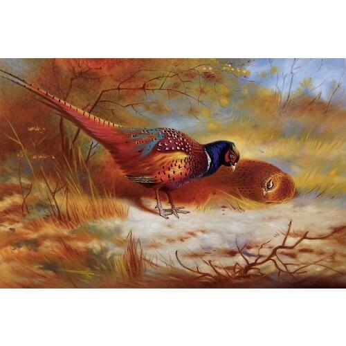 Handpainted Wall Canvas Animal Birds Oil Painting Home Decor Art Pheasants, 1918 by Archibald Thorburn No Framed High Quality