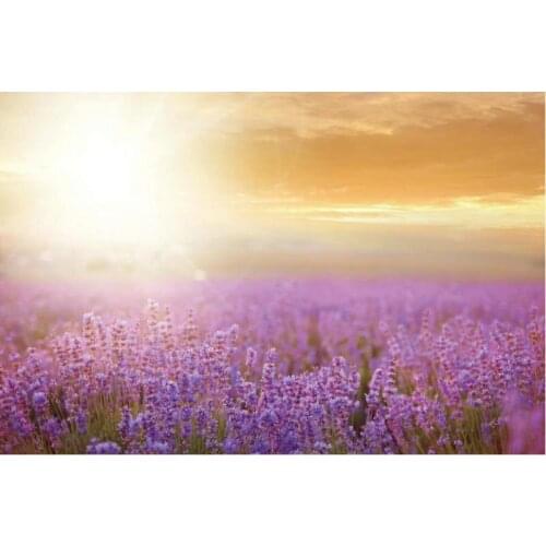Flower Plant Backdrop Lavender Field at Sunrise Photography Backgrounds Family Party Decor Newborn Bride Photo Booth Studio Prop
