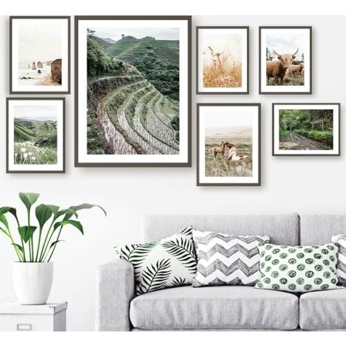 Terraces Dandelion Cow Lawn Mustang Beach Wall Art Canvas Painting Nordic Posters And Prints Wall Pictures For Living Room Decor