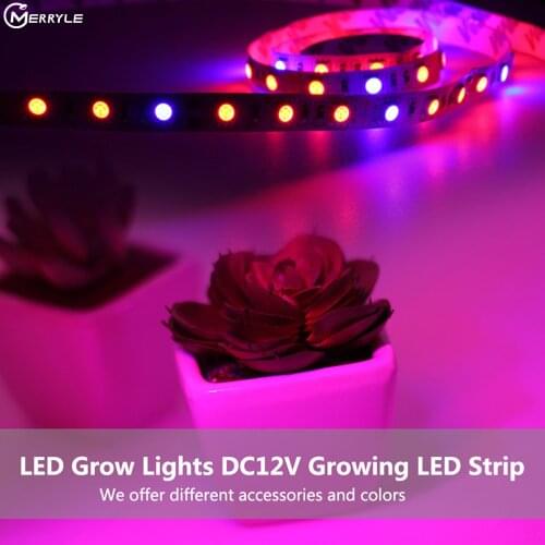 LED Grow Light Spectrum 5M LED Strip 5050 Red Blue Light Flower Plant Phyto Growth Lamps For Greenhouse Hydroponic Plant Growing