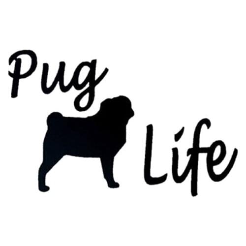 10.5CM*6.9CM Creative Animal Personality Pug Life Fashion Personality Vinyl Window Decals C5-0555