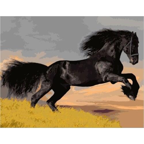 Diamond mosaic rhinestone black horse Diamond Painting Cross Stitch full Square Diamond puzzle art and Crafts Diamond Embroidery