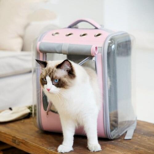 2020 Pet Carrier Backpack For Small Cats Foldable Transparent and breathable Dog Carrier Top Quality backpack for cat