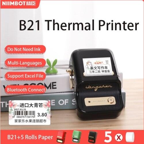 Niimbot B21 Wireless Thermal Label printer Mini Portable Barcode Tape Printer For Moble Phone Android iOS Price Sticker Machine