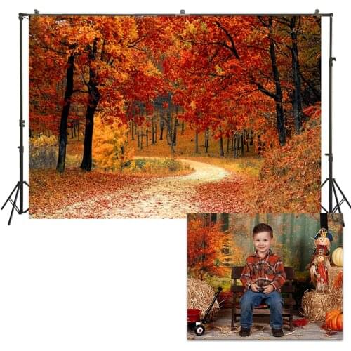 HUAYI Photo Background Autumn Landscape Photography Backdrops Newborns Baby Child Studio Halloween Autumn Backdrop XT-7342