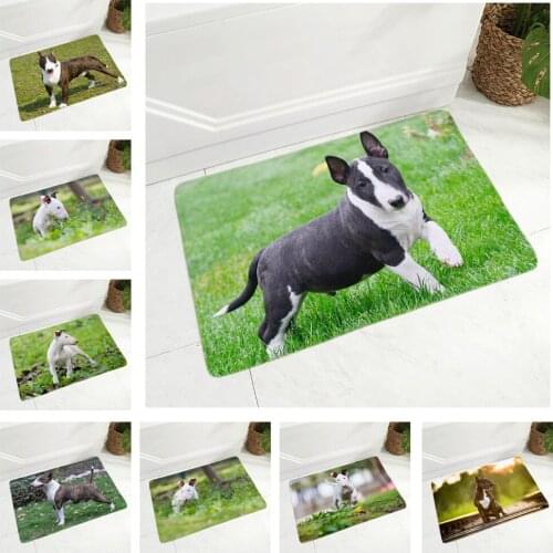 England Pit Bull Terrier Dog Doormat Decor Pet Animal Floor Door Mat Non-Slip Soft Flannel Carpet for Hallway kitchen Room 40x60