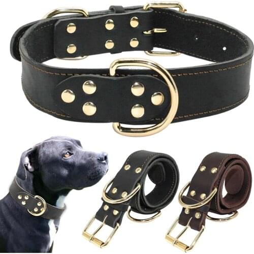 New Genuine Real Leather Canine Working Dog Pet Collar Brass Heavy Duty Center D-Ring For M L Dogs