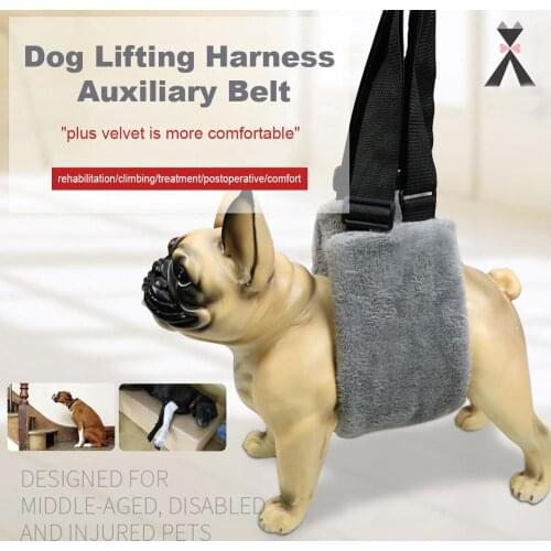 Practical Soft Sling Assist Belt Weak Rear Legs Rehab Harness Pet Supplies Washable Dog Lift Support Auxiliary Dog Accessories