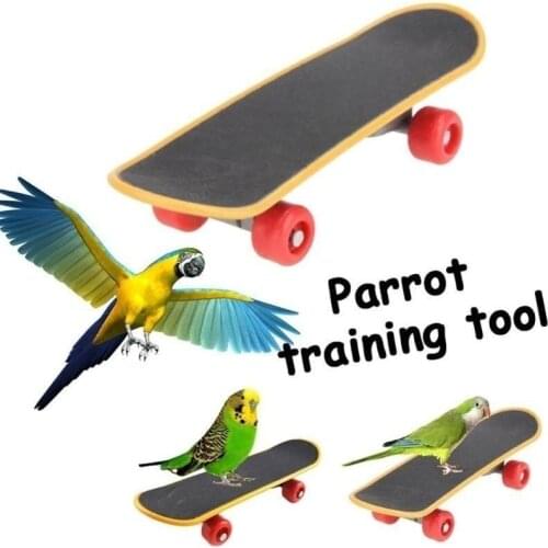 Bird Parrot Intelligence Toys Mini Training Skateboard Parakeet Growth Toy