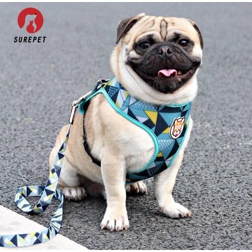 Surepet Adjustable Denim Dog Vest Harness Leash Set for Small Medium Dog