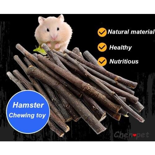 Natural Small Pet Chewing Toy Apple Tree Brunches and Sugarcane Molar Toy for Hamster Rabbit Guinea Pig Small Animal Supplies
