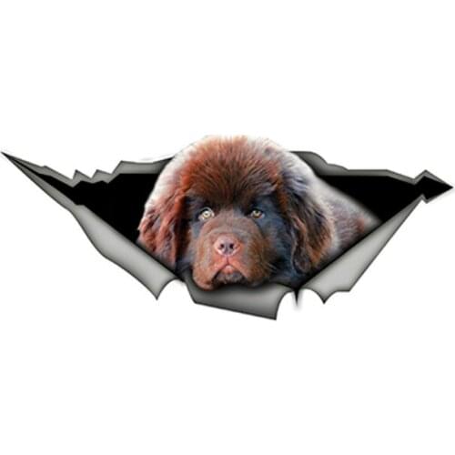 Interesting Cute 3D Newfoundland 3D Pet Dog Car Sticker Accessories Decal Car Window Waterproof PVC 15cm X 6cm