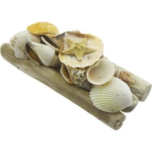 Modern Mixed Seashells Decor Set trinket baratija حلية орнаментальный