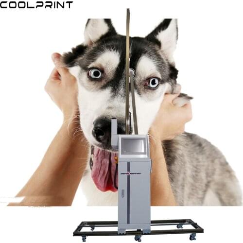 3d wall printer machine automatic 3d vertical wall printer direct to wall painting machine