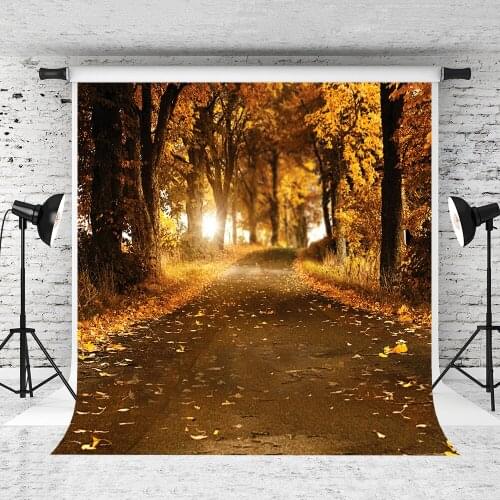 VinylBDS Scenic Photography Backdrops Autumn Forest Background Backdrop Rustic Backdrop Maple Photography for Photo Studio