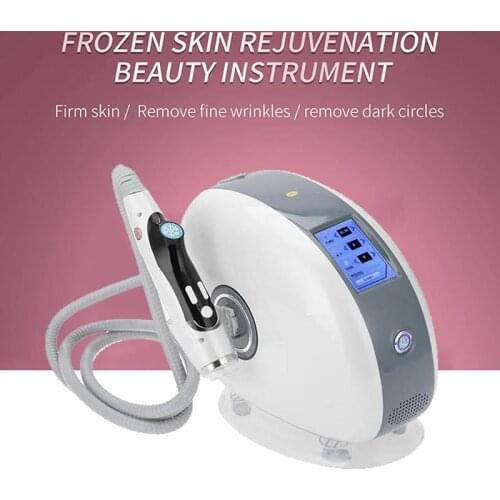 2 in 1 RF Frozen Skin Rejuvenation Tighten Machine Skin Firming Eye Bag Wrinkle Removal Face Lifting Body Slimming Beauty Device