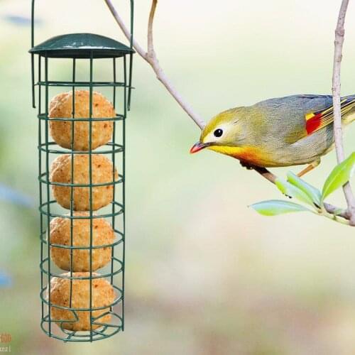 Bird Parrot Pet Cage Aviary Wild Bird Metal Feeder Hanging Feeders Viewing Window For Garden Yard Decoration Feeding Supplies
