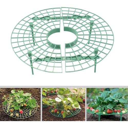 1Pc/set Strawberry Growing Circle Support Rack Tray Gardening Balcony Fruit Vegetable Vine Plants Protective Frame Stand Holder