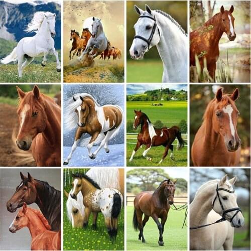 Horse DIY 5D Diamond Painting Cross Stitch Kit Full Square Drill Animal Embroidery Mosaic Art Rhinestones Wall Art Home Decor
