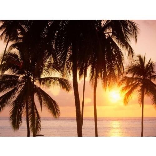 Modern picture of Tropical in the Sunset printed on cotton canvas , Picturesque photo art for home decor free shipping