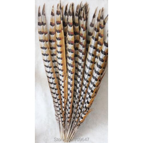 50Pcs/lot! Feather Pheasant Venery Reeve Tails 32-36"(80-90cm)- Craft Millinery Fly Fishing,Reeves Pheasant Tail Feathers