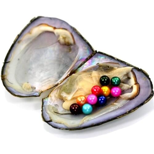 New 26 Colors Shinny Round Pearls Freshwater Oysters Brilliant Colored Perfect Round Pearl Oysters 20pcs FP268