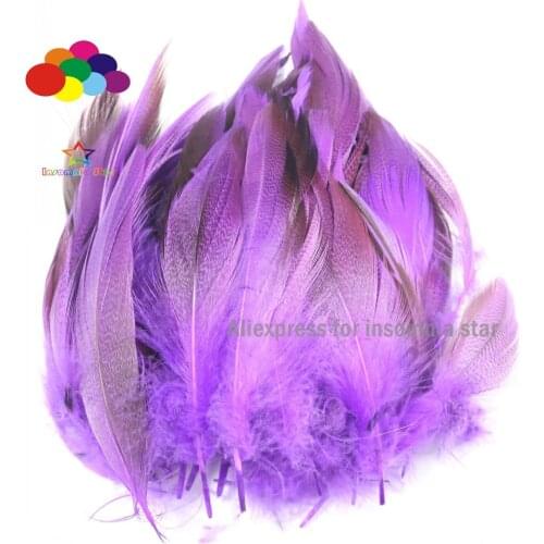 100pcs/lot 7-12CM or 2-4inch Dyed purple plumas faisan colores view Wholesale Duck Feathers Real Duck Flank Decoration