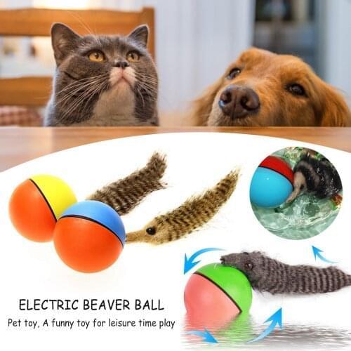 Electric Beaver Rolling Ball Pet Dog Cat Toy Jump Moving Self Rolling Beaver Ball Toy Chasing Moving Ball Fun Sport Toy for kids