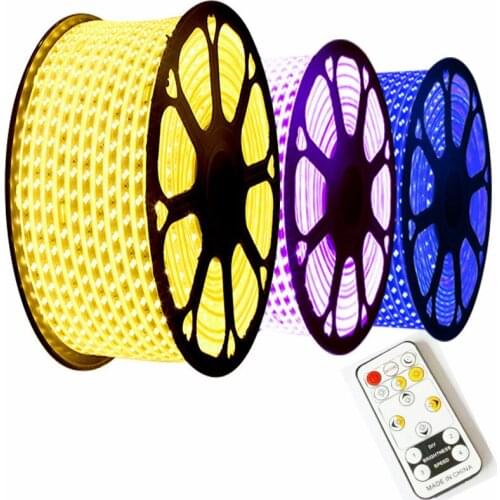 High Brightness Dimmable AC 220V LED Strip Light SMD5730 Lamp Tape Waterproof Flexible Ribbon With Remote For Kitchen Garden