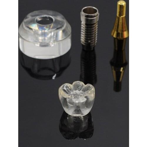1Set 3 Parts Tooth Detachable Dental Implant Model Single Clear Teeth Stand Implant Crown