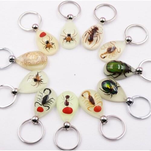 120pcs/Lot Insect Keychain Sea Shell Keychains Conch Key Ring Starfish Key Chain Crab Keyring