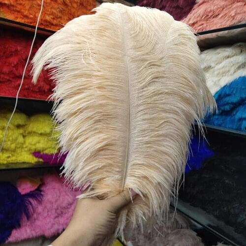 10pcs Beautiful Champagne 30-35cm/12-14 inch Natural Ostrich Feathers Wedding Party Christmas Home Craft Accessories Decoration