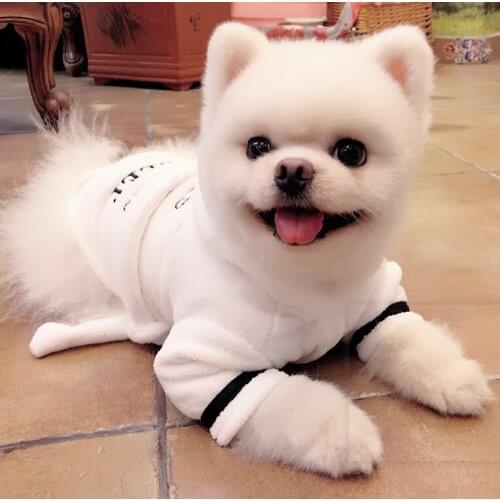 New Dog Clothes Winter Warm Pet Dog Cat Bathrobe Hoodie Soft Pet Pajama Bath Drying Towel Clothes for Puppy Cats Pet Accessories