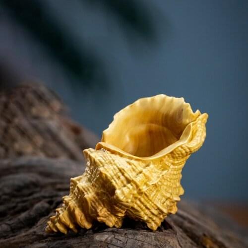 Boxwood 5cm Wood Sculpture conch Home Decor Feng Shui Office Decoration Real Wood Car Hanging Collection