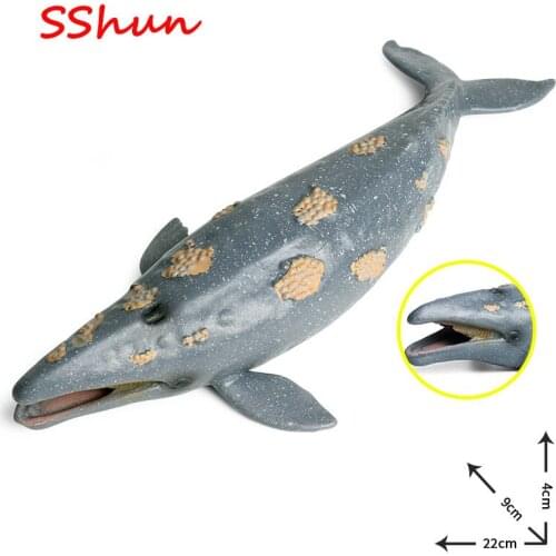 22*9*4cm simulation marine animal model toy whale shark humpback whale children science education plastic animal model