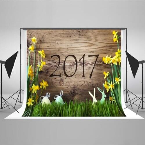 VinylBDS Easter Backdrop Photography Wooden Wall Photography Studio Backgrounds Newborn Props for Photography