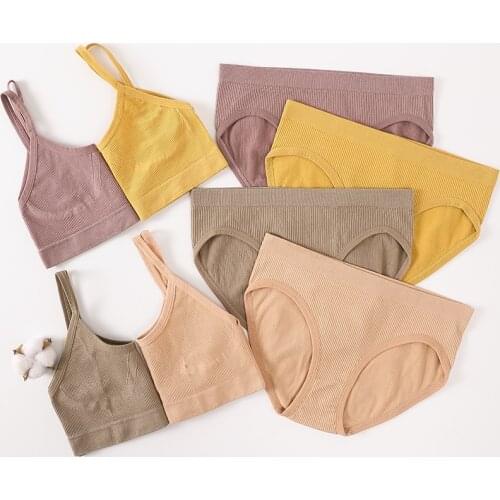 Women Bra And Panties Set Push Up Bra Briefs Panty Seamless Bra Top Active Wear Bra Sexy Lingerie Set Female Crop Top Underwear