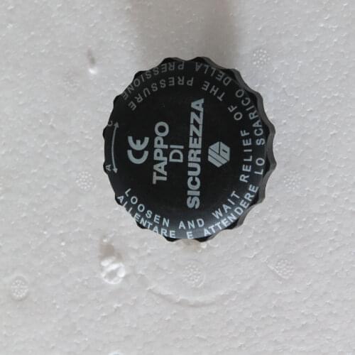 Electrical Heating Steam Generator Iron ST-75/750/-6/95 Type Only Steam Safety Valve Factory Origional Product