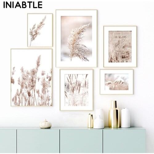 Dried Flower Plant Beige Reed Wheat Posters Prints Canvas Painting Nordic Modern Wall Art Pictures For Living Room Home Decor