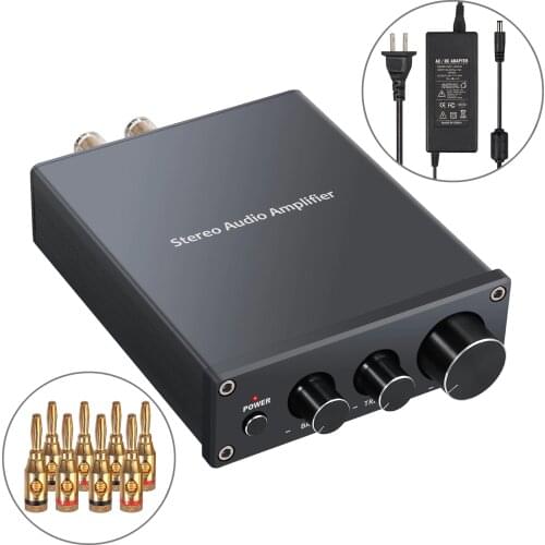 Neoteck Mini Hi-Fi Class D Integrated Amplifier with Bass and Treble Control For Passive Speaker Audio Home Amplifier