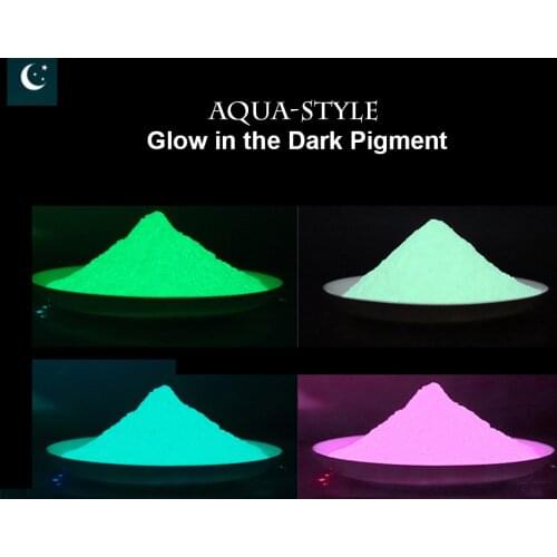 10G/Bag Aqua-Style Glow in the Dark Glitter Pigment Super Craft+Paint+Print Luminous Manicure DIY Nailart Glitter Powder FG2021