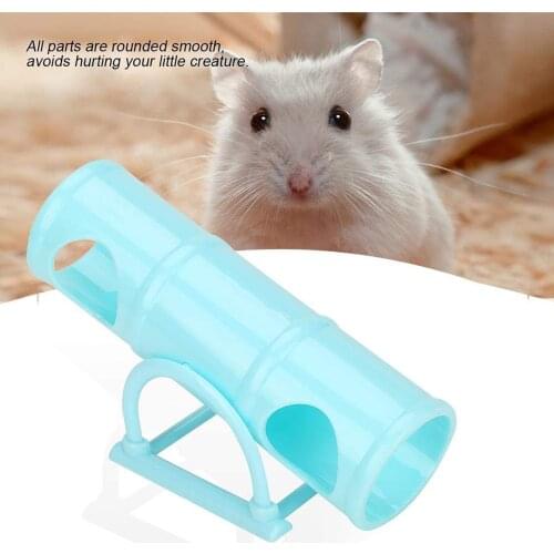 Plastic Board Grind The Teeth For Hamster Guinea Pigs Toys Chew Toy Small Animal Playground