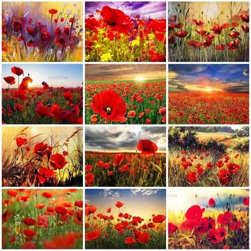 Diamond Painting Poppy Flower Home Decoration DIY Full Square Diamond Embroidery Sale Rhinestone Mosaic Home Decoration Painting