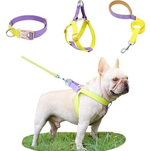 Dog Harness Vest Collar Perro Small Medium Lager Dogs Harnesses Lead Leash And Collar Set For French Bulldog Dog Accessories
