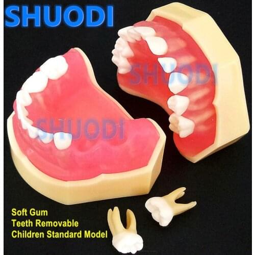 1 piece Dental Study Teaching Model 1:1 Dental Children Standard Model Removable Teeth Soft Gum Kid TYPODONT Model