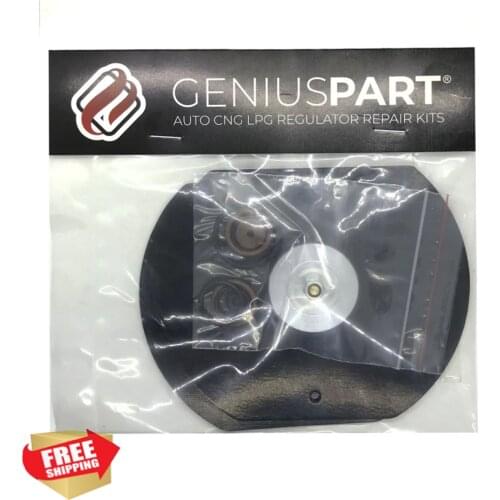 Kme Silver Gold Type Reducer Repair Kit Kme LPG CNG GPL Vaporizer Reducer Repair Set